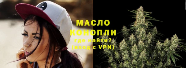 тгк Вяземский