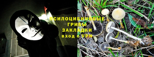 тгк Вяземский