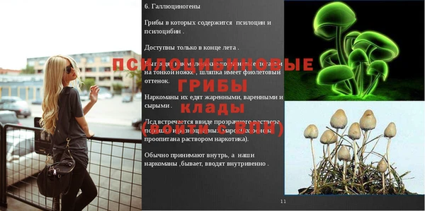 тгк Вяземский