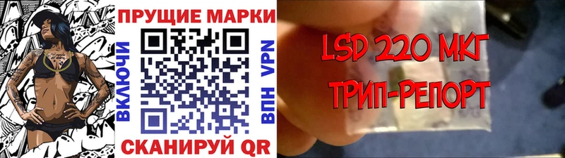 Марки 25I-NBOMe 1500мкг  blacksprut маркетплейс  Городовиковск 